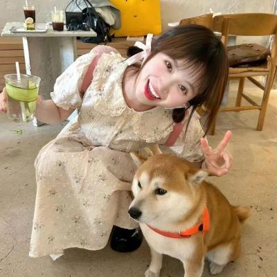 大小谎言第二季